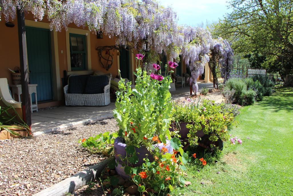 Hebron Guesthouse & Restaurant Citrusdal Kültér fotó